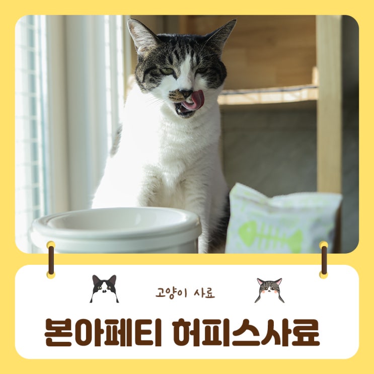  고양이 허피스에 좋은 본아페티 고양이 사료