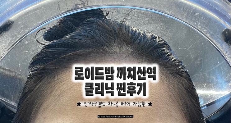  까치산역 미용실 로이드밤 클리닉 후기 (빗자루 탈출)