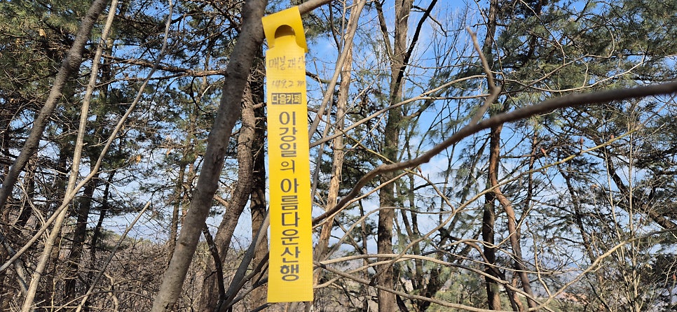 매봉재산 사진 4
