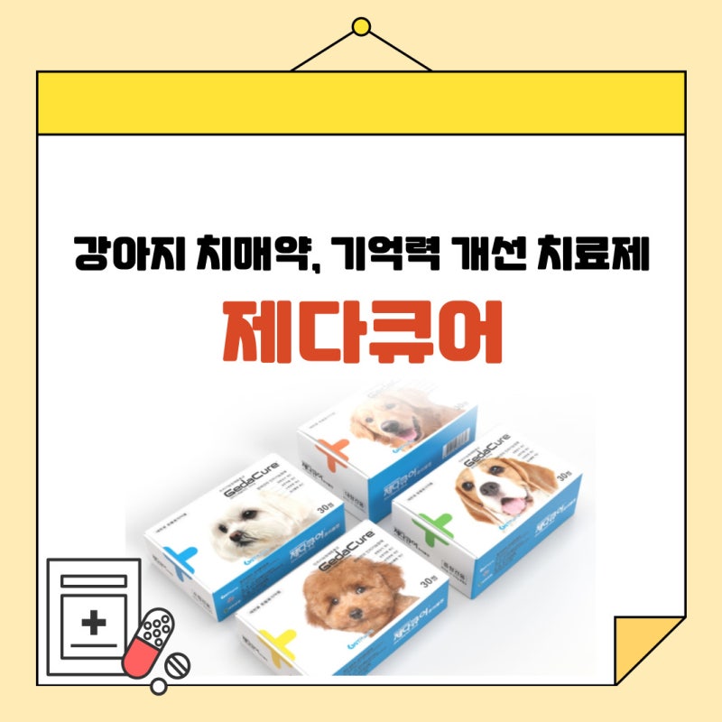 제다큐어 - 강아지 치매약 효과와 가격, 노령견 기억력 개선 치료제