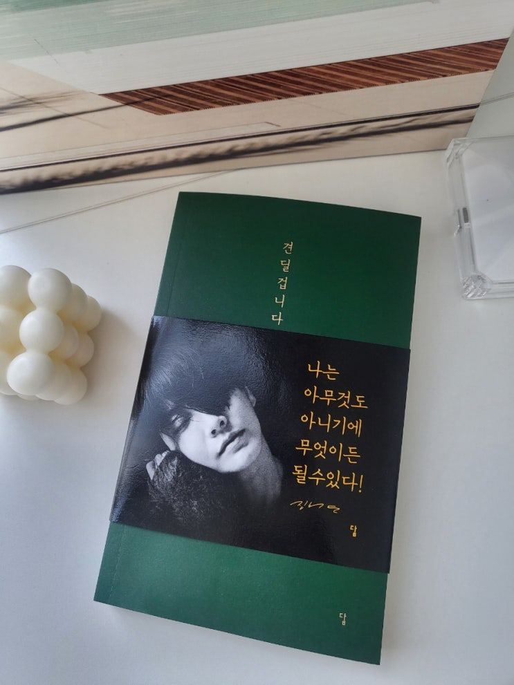 견딜겁니다 <b>진서연</b> 에세이<b>추천</b>