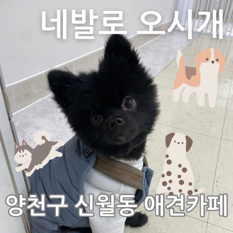 네발로오시개