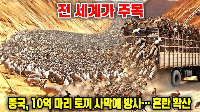 전 세계가 주목하고 있다: 중국이 10억 마리의 토끼를 사막에 방사하자 그 계획의 의도에 대해 전 세계가 혼란스러워 하고 있다 전 세계가 주목하고 있다: 중국이 10억 마리의 토끼를 사막에 방사하자 그 계획의 의도에 대해 전 세계가 혼란스러워 하고 있다