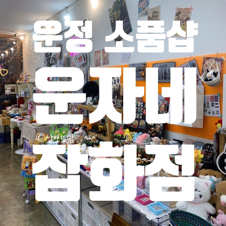  [내돈내산] 파주 운정 소품샵 추천, 운자네잡화점️