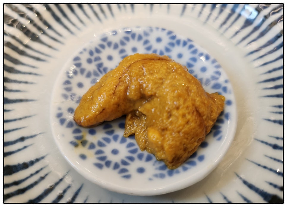 트리거 피쉬 Triggerfish 사진 6