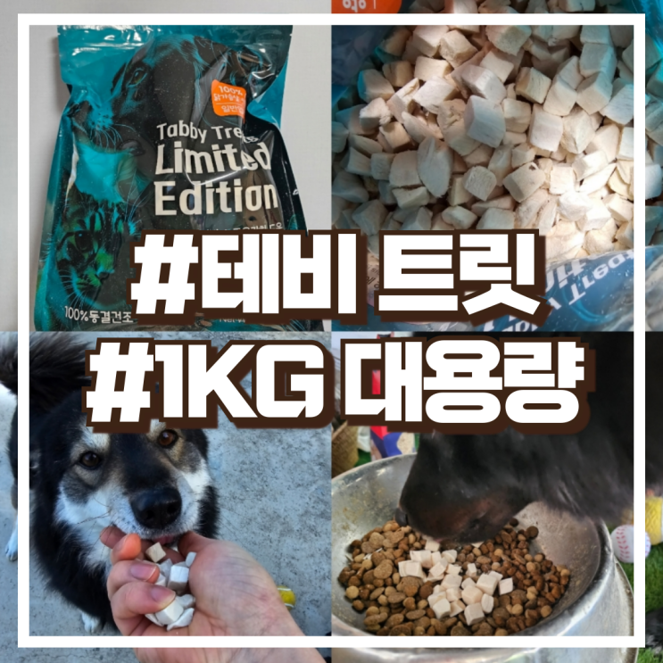  내돈내산 강아지간식 가성비 테비트릿 동결건조 리미티드 에디션 1kg 대용량 추천