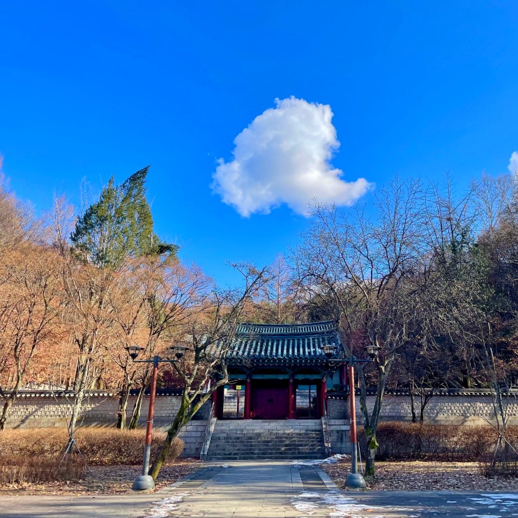  #250224 낙성대공원 산책 - 기절초풍왕순대, 오페라빈로스터스 등