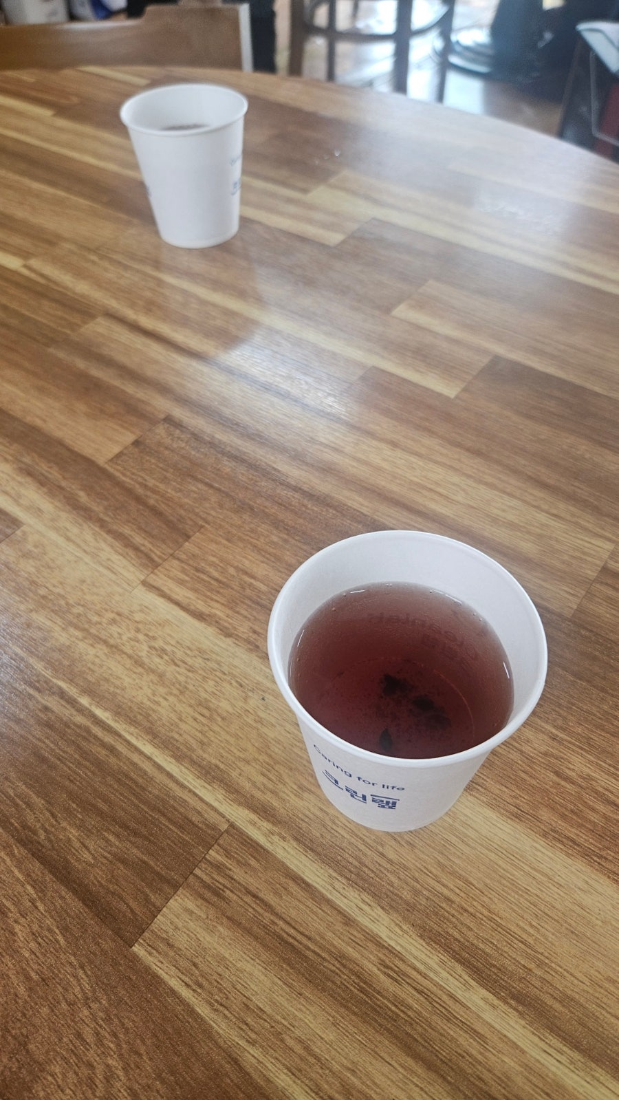 안집묵 사진 4