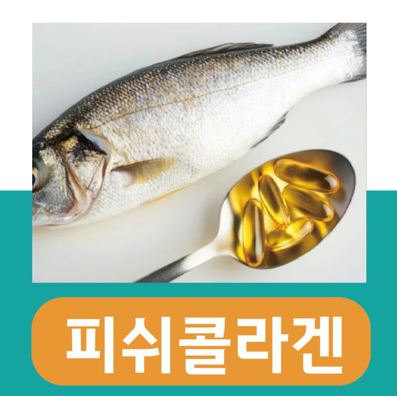피쉬콜라겐 효능, 펩타이드 500g 먹는법