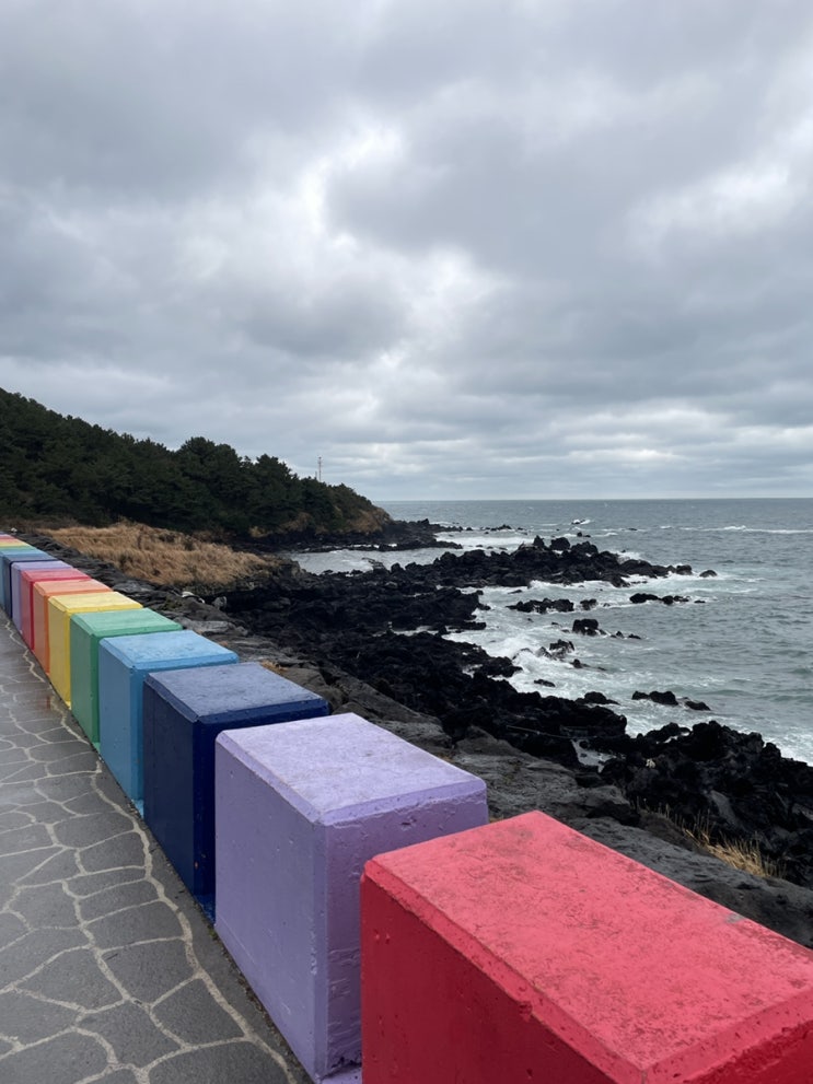  IN 제주도 3~4일차 / 세모, 글로시말차 etc.