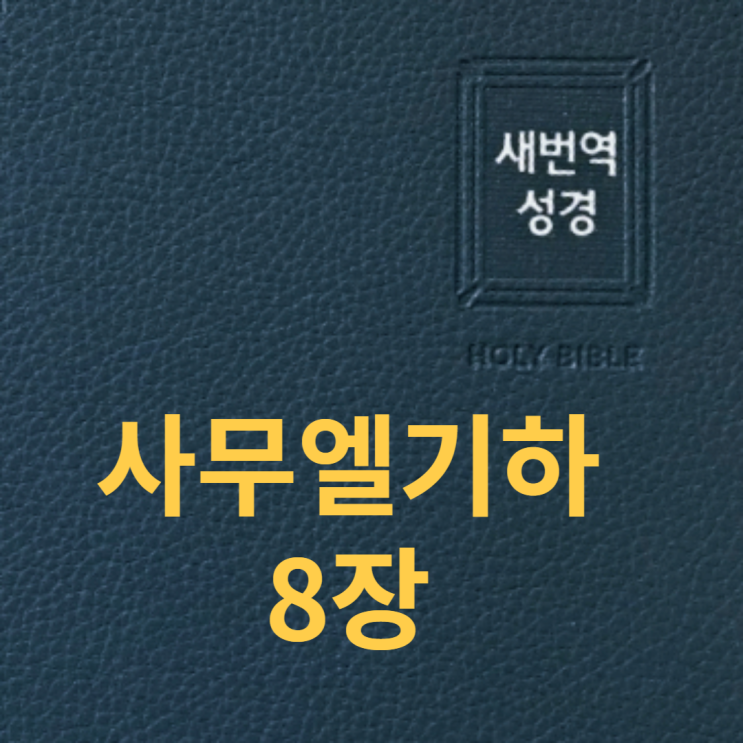 사무엘기하 8장 사무엘기하 8장