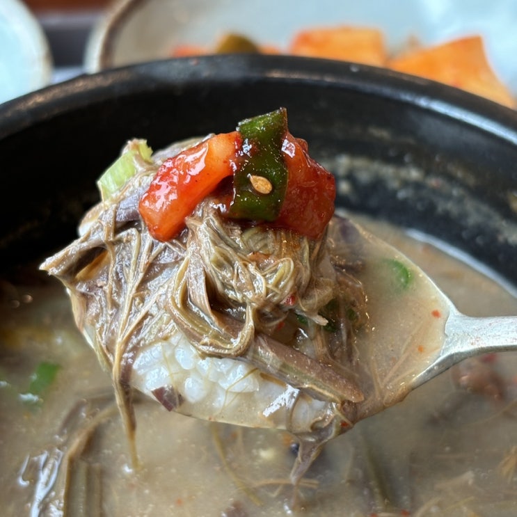  [제주] 고사리해장국 맛집, 제주코시롱