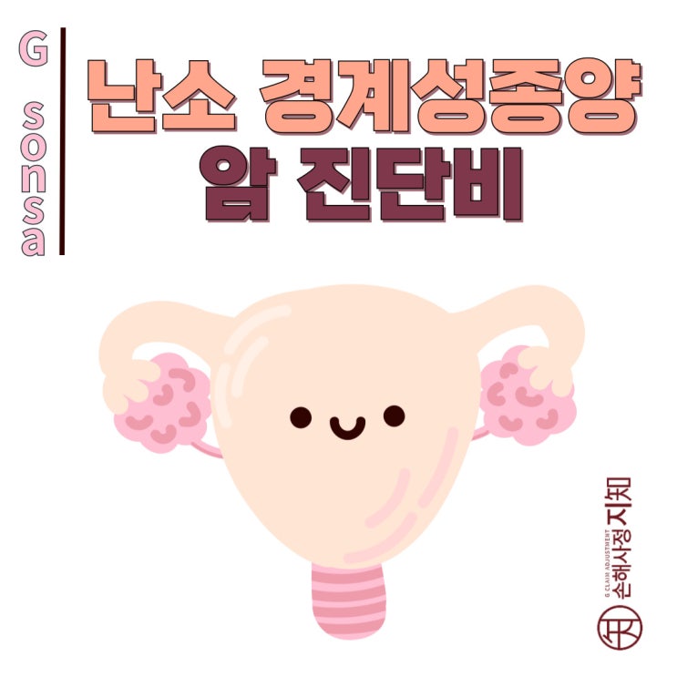  난소 경계성 종양(D39) - 소액암이 아닌 일반암 보상 가능할까? - [엄마의 질병, 2부]