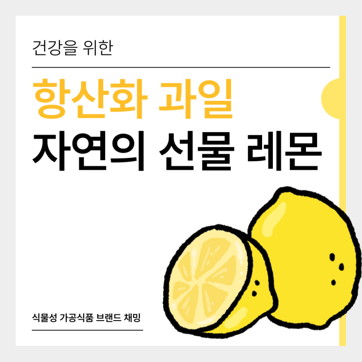  항산화 과일 건강을 위한 자연의 선물 레몬