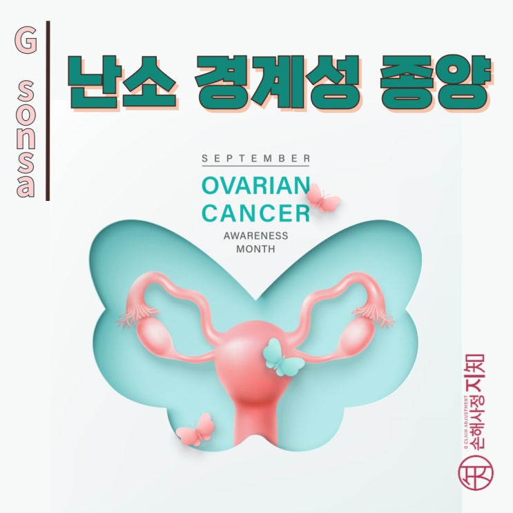  난소 경계성 종양 – 암일까 아닐까? - [엄마의 질병, 1부]