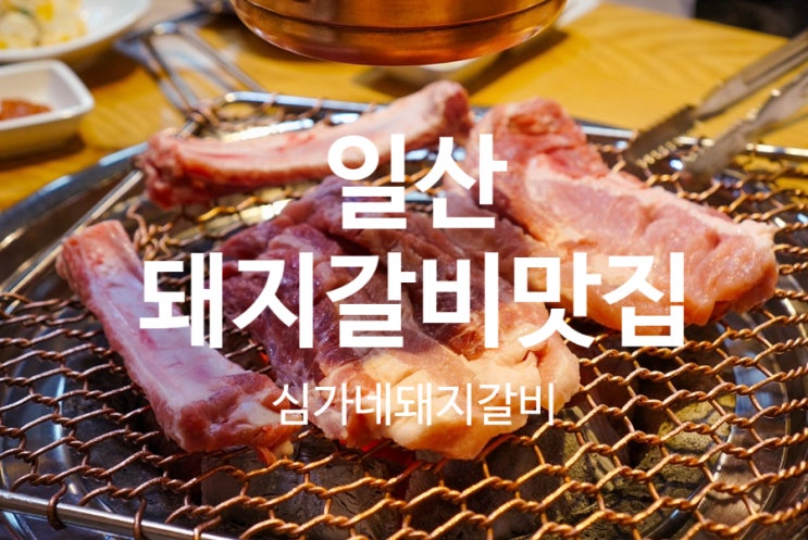  일산갈비맛집 보성녹돈 돼지갈비 추천 심가네돼지갈비
