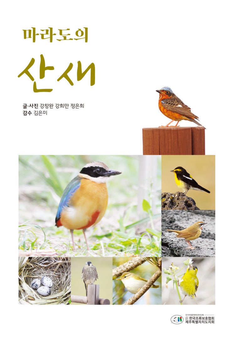 마라도의 산새