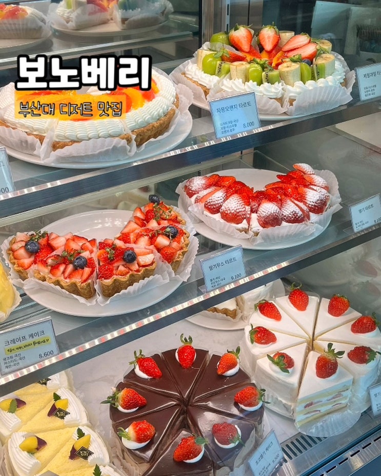  부산대디저트 보노베리 타르트 케이크 부산대역 카페 맛집