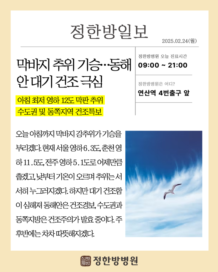 날씨 <b>탄핵심판 최종변론</b> 강원도 산불 등 2월 5주차 소식 [부산... 