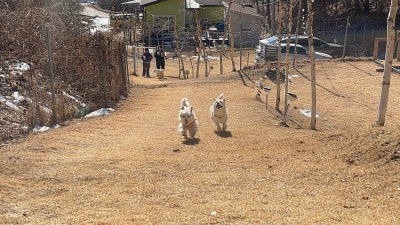 사진 3