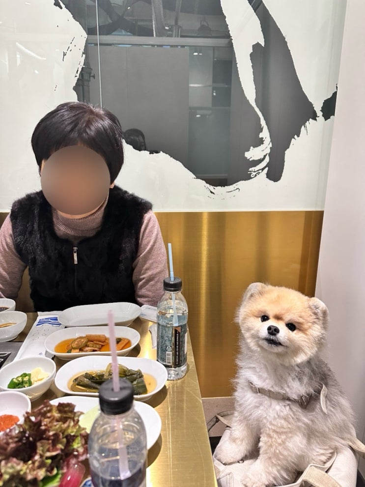  정갈하고 깨끗한 서울 마곡 애견동반 장어집 #머슬장어