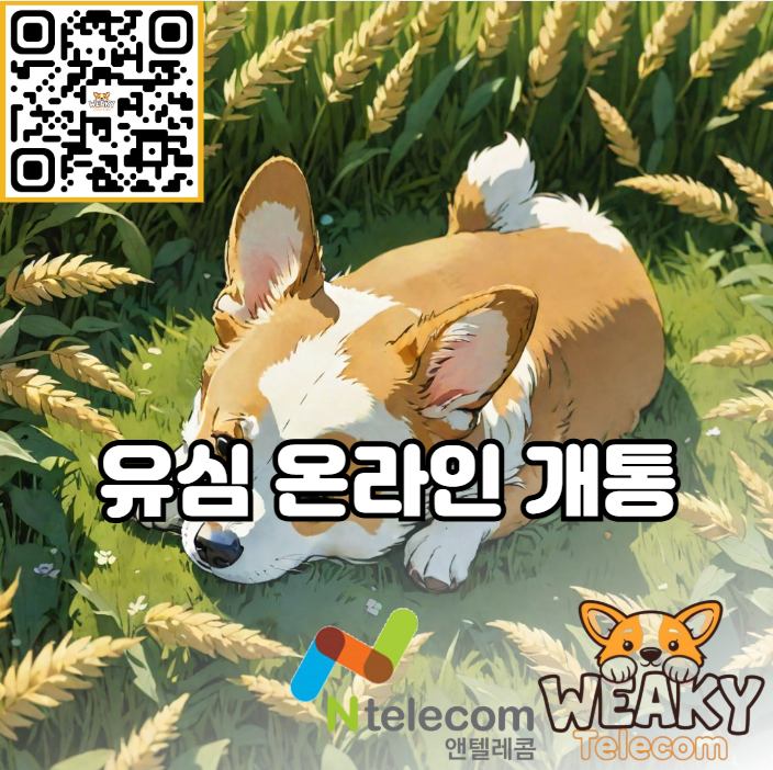  유심 온라인 개통 내 손으로 직접 5분이면 가능하다고?