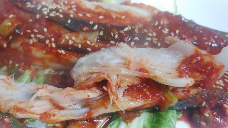 왕꽃돈 사진 5