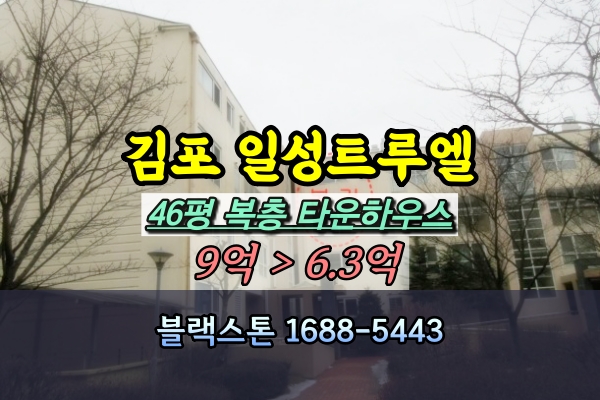  김포 일성트루엘타운하우스 경매 복층 [2024타경202]