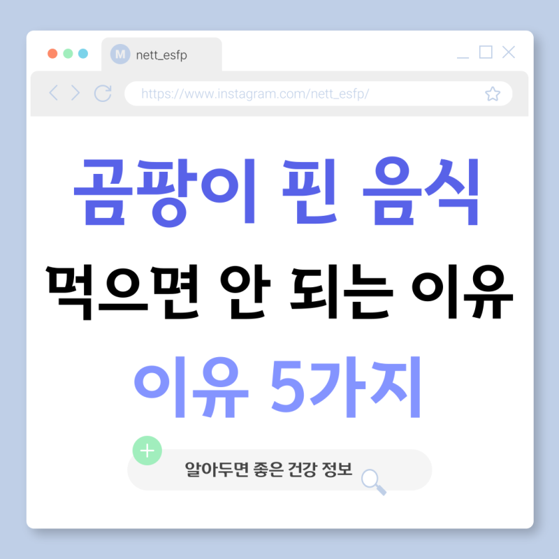 곰팡이 핀 음식 그냥 먹으면 안 되는 이유 5가지