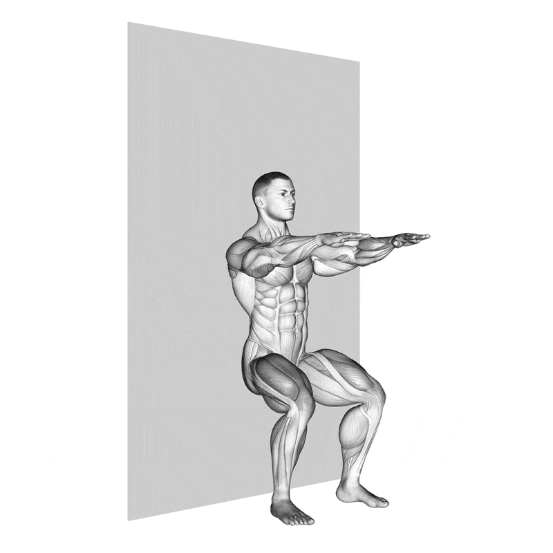 [하체 운동] 중장년층 추천 하체 운동, '벽 스쿼트(Wall Sit, 월싯)' 자세 및 운동 효과