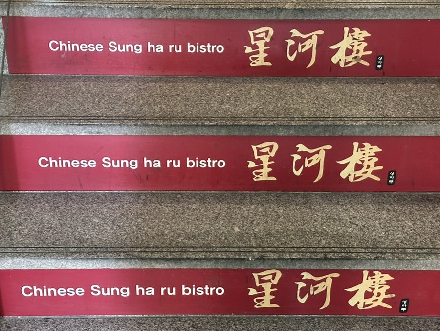 성하루 사진 2
