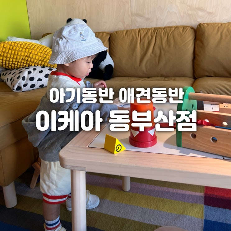  이케아 동부산점 맛집 푸드코트아이와 함께 갈만한 곳 애견동반