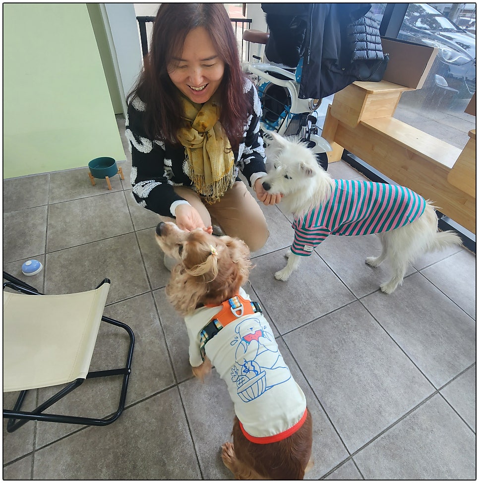 제리스토리 사진 6