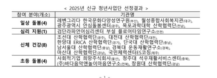 올해 17개 청년사회서비스사업단 신규 선정…청년에 일·경험 제공