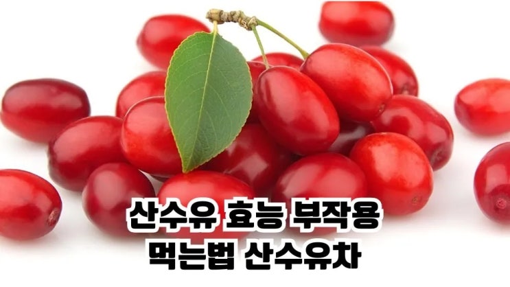  산수유 효능 8가지 부작용 먹는법 산수유차 만들기
