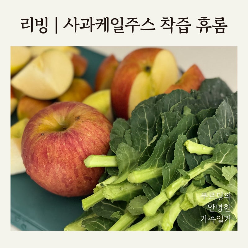 사과케일주스 휴롬 착즙 레시피 해독주스