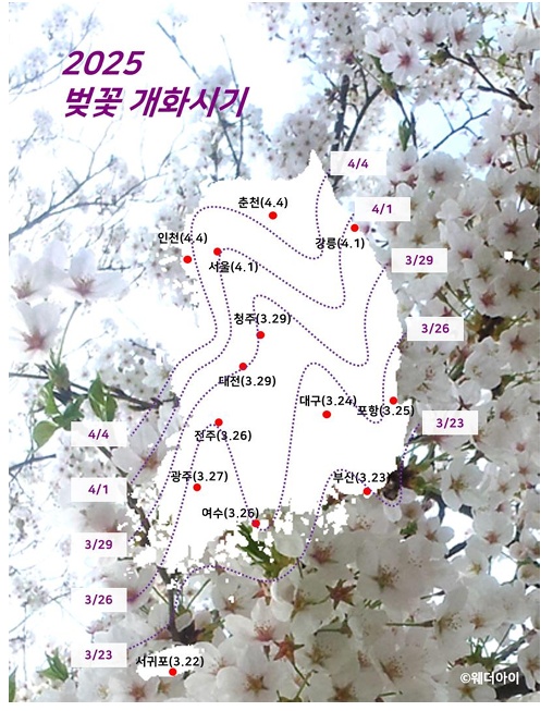 정책지식 2025.2.24.