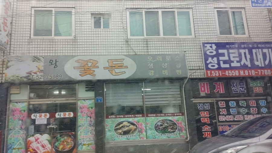 왕꽃돈 사진 1