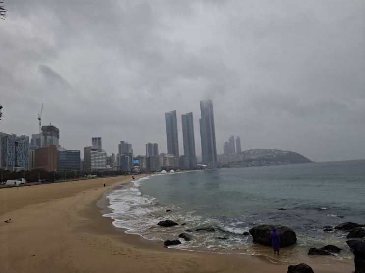  [부산 해운대구] 동백섬 한 바퀴 - 동백꽃과 함께 누리마루에서 해운대까지