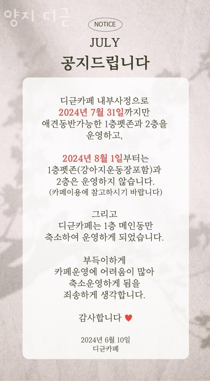 양지디귿 사진 2