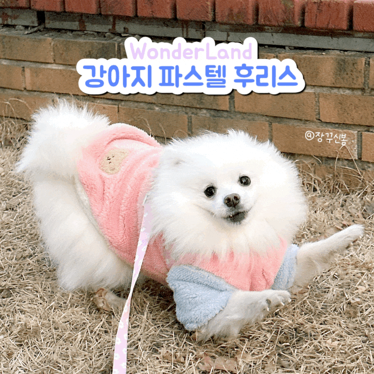 따뜻한 강아지 파스텔 후리스 원더랜드 따뜻한 강아지 파스텔 후리스 원더랜드