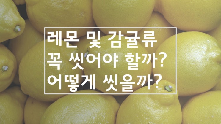  레몬을 꼭 씻어야 할까? 어떻게 씻어야 할까?