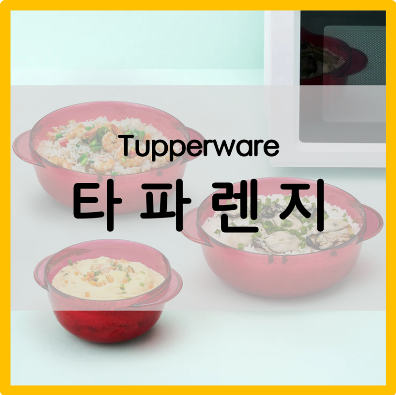 타파웨어 전자레인지 전용 용기 그릇 타파렌지 중형 활용법 소개해요