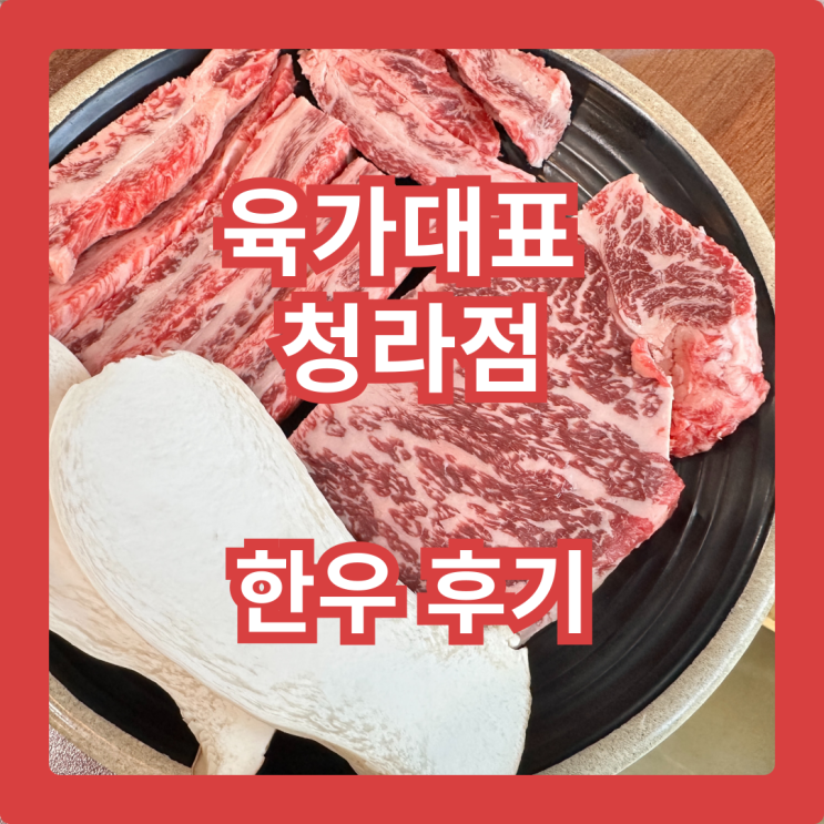  청라 1++ 한우! 육가대표 청라점에서 소고기의 참맛을 맛보다