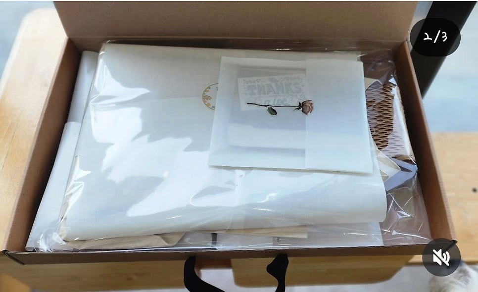 제리스토리 사진 5
