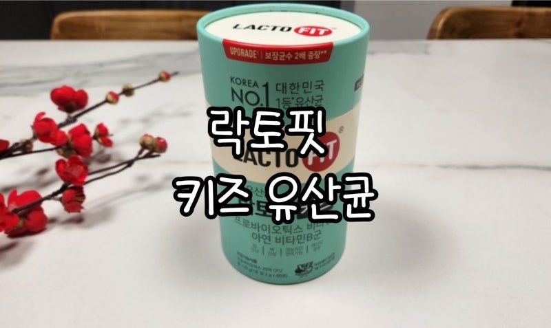 어린이 유산균 종근당 락토핏 키즈