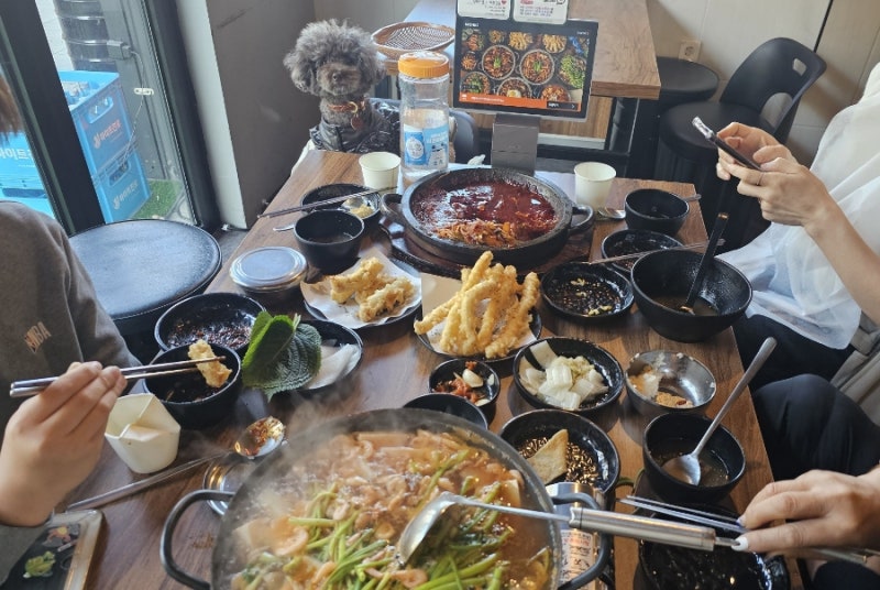 사진 4