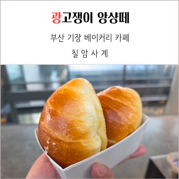  부산 기장 베이커리 카페 칠암사계 소금빵 맛집 방문후기
