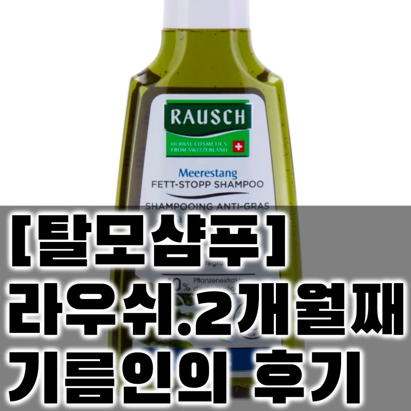 탈모샴푸] 라우쉬 샴푸. 씨위드 디그리징. 두 달 후기?