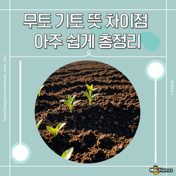  무토 기토 뜻 차이점 아주 쉽게 총정리